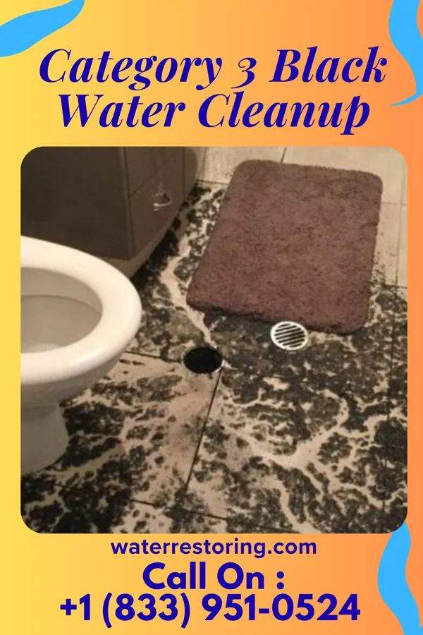 Category 3 Black Water Cleanup in Malden, MO