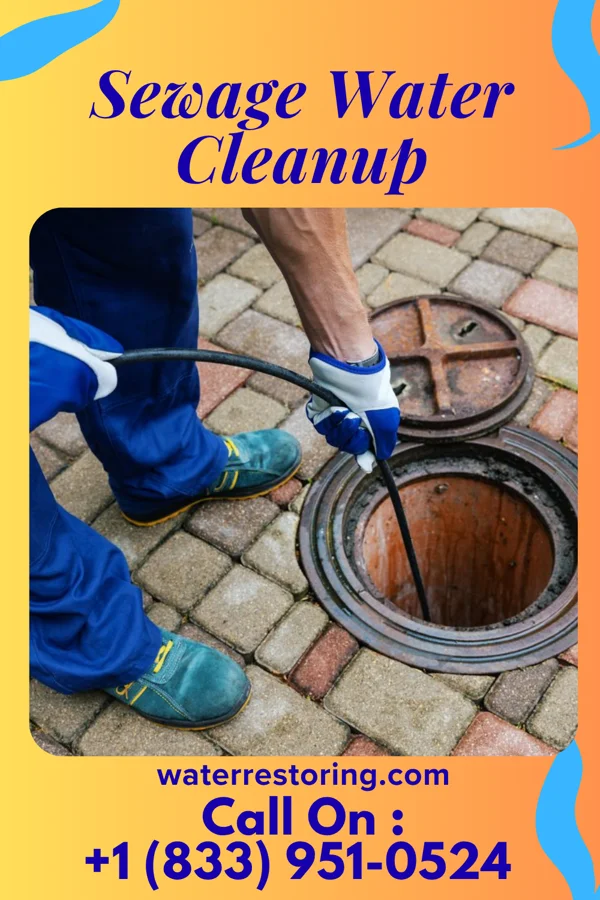 Sewage Water Cleanup in Malden, MO