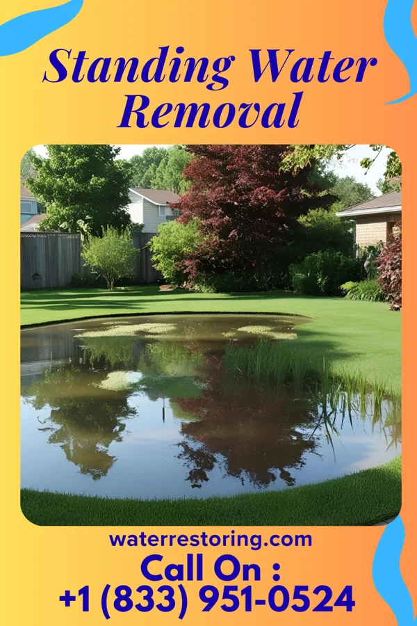Standing Water Removal in Malden, MO